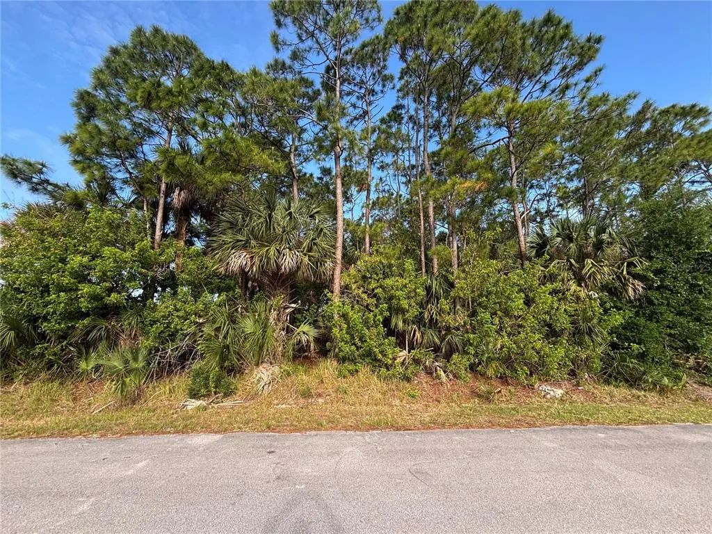 556 Burlington Avenue Ne, PALM BAY