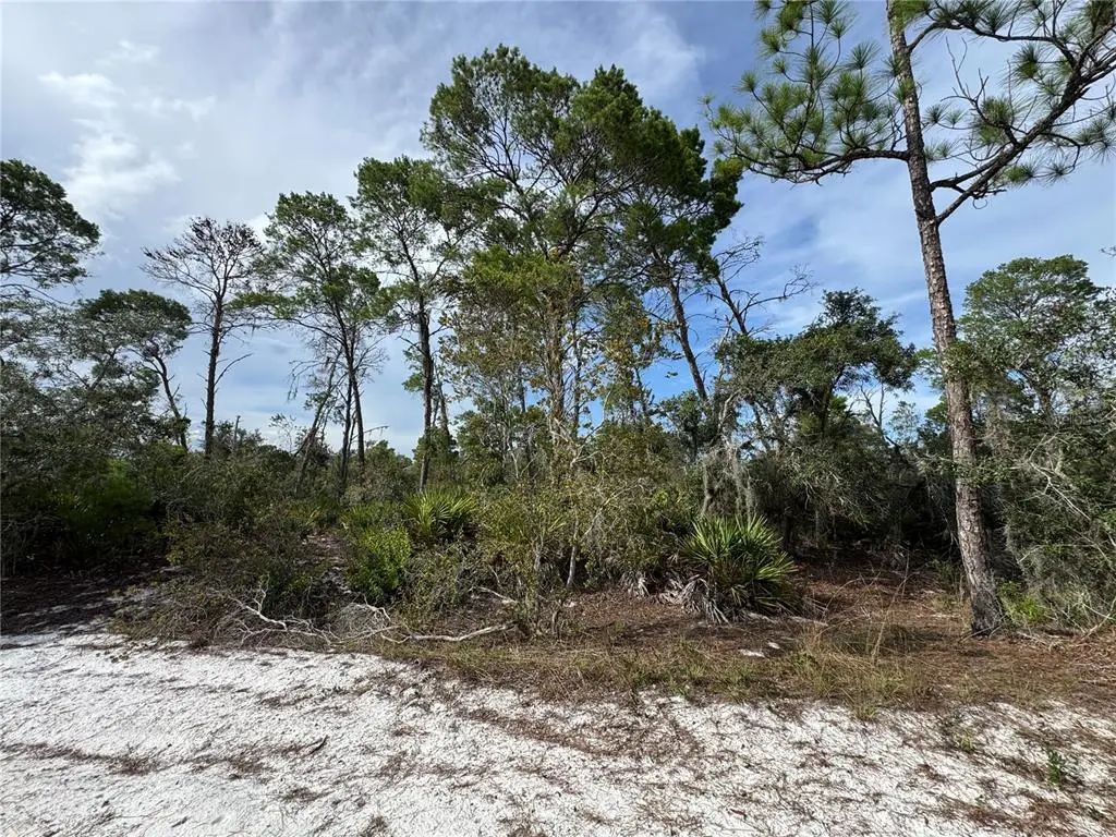 2117 Gardenia Terrace, SEBRING