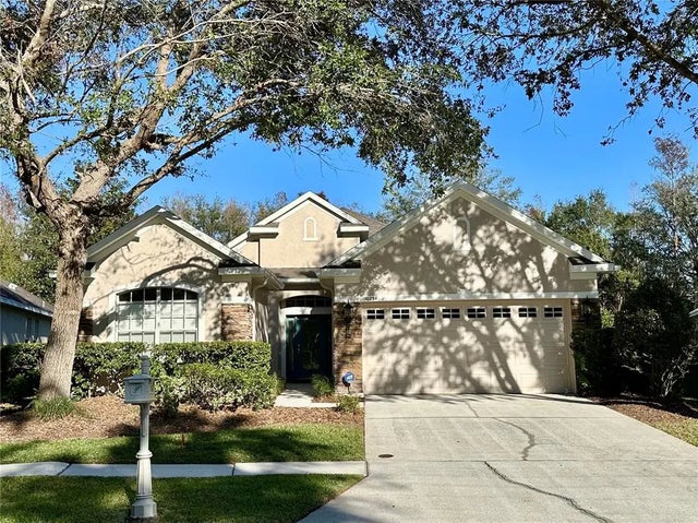 10234 Evergreen Hill Drive, TAMPA