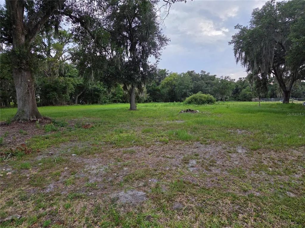 10716 Mcintosh Road, THONOTOSASSA