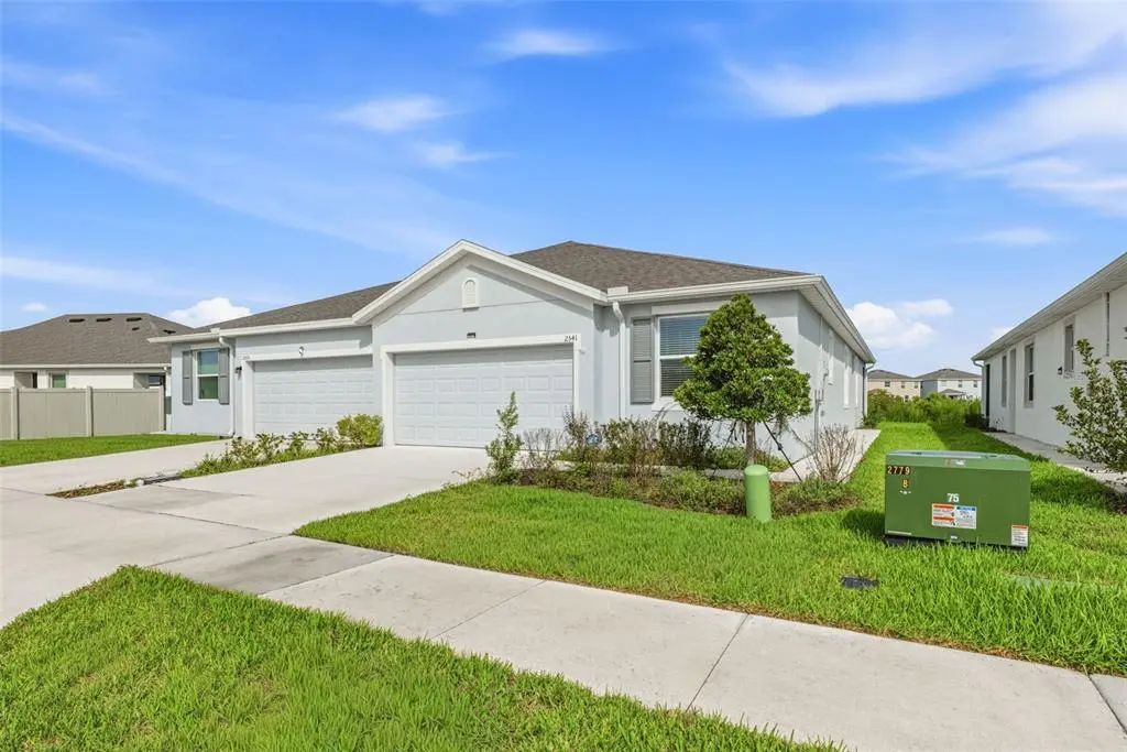 2541 Bending Bonsai Drive, WESLEY CHAPEL