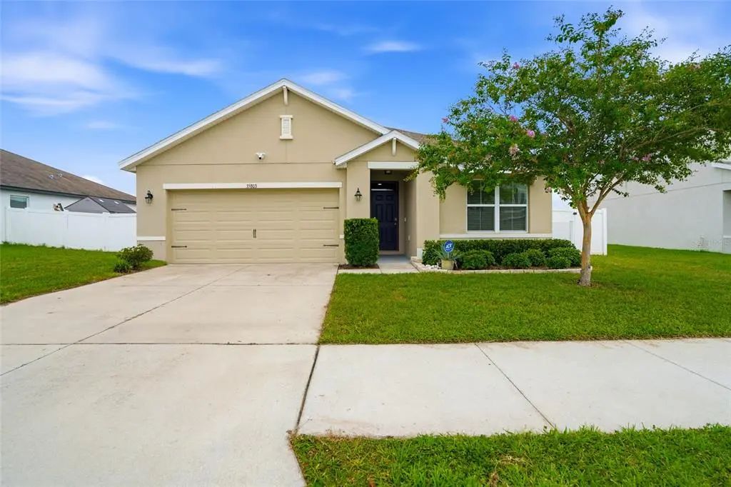 35803 Hillbrook Avenue, ZEPHYRHILLS