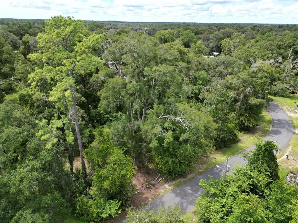 Lake Avenue, FANNING SPRINGS