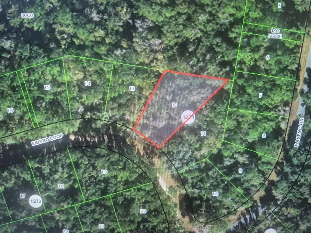 893 E Byrd Loop, CITRUS SPRINGS