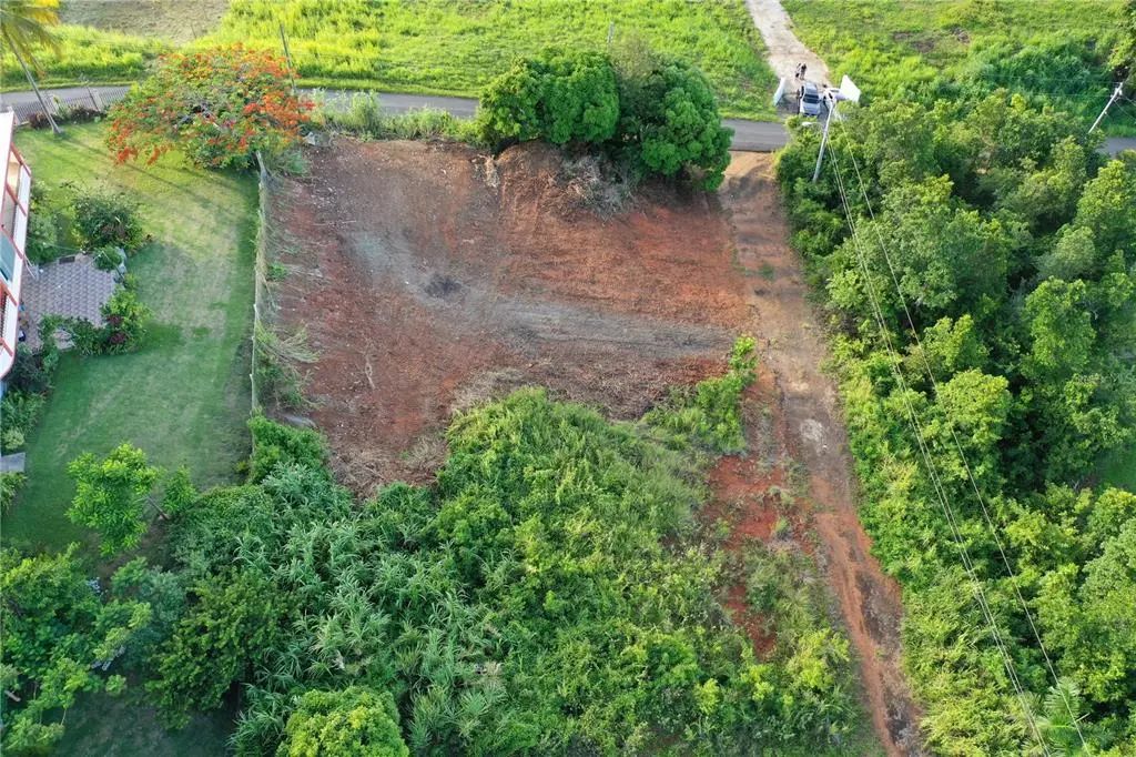 975 Int, CEIBA