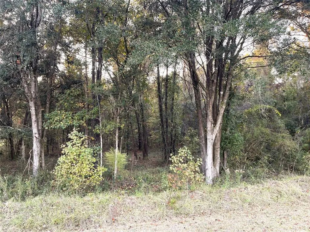 Nw 145th Ave Lot 25, WILLISTON