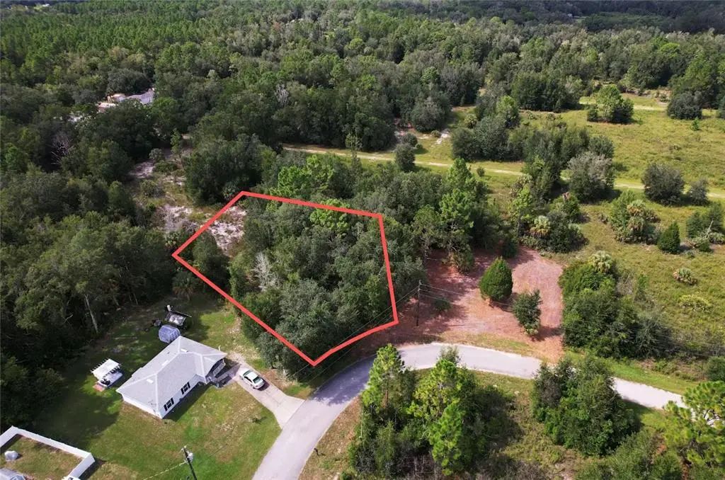8746 N Catapane Loop, CRYSTAL RIVER