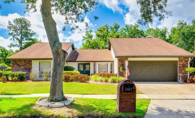 13903 Wolcott Drive, TAMPA
