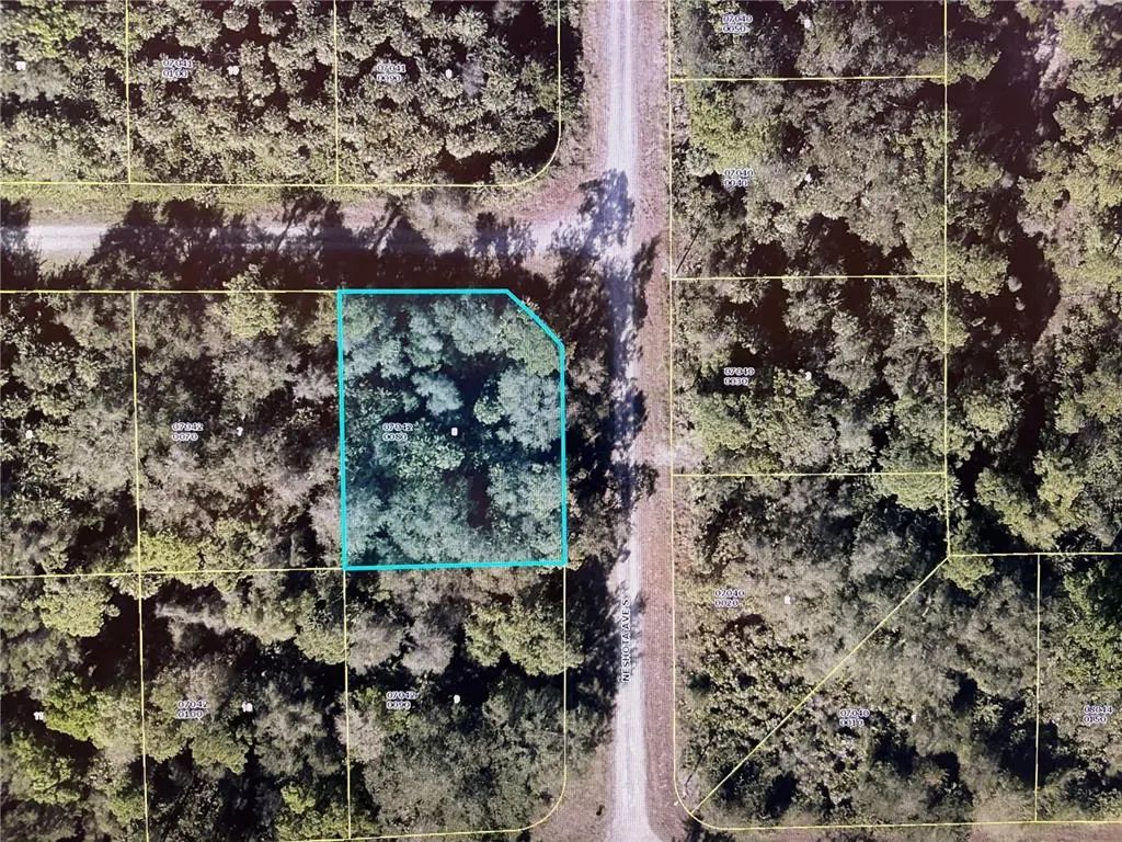 1224 Rosita Street E, LEHIGH ACRES