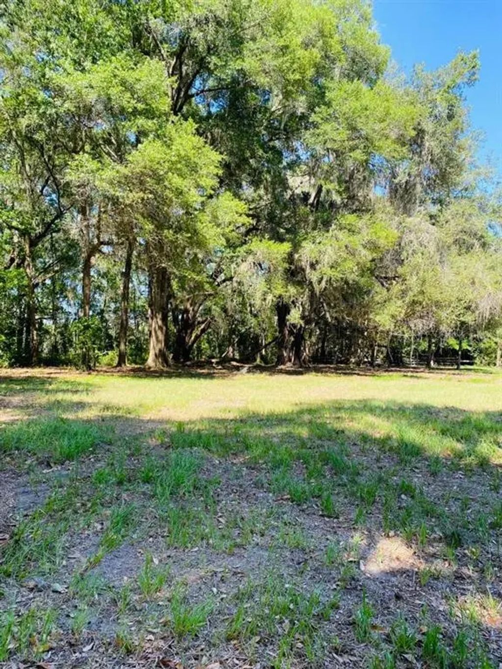 17401 Nw County Road 241, ALACHUA