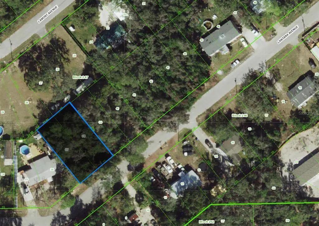 Lantana Avenue, NEW PORT RICHEY