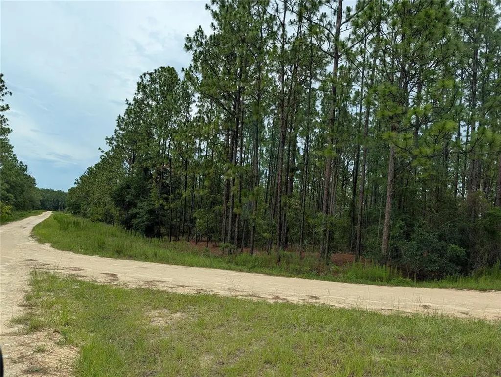 Sw Tbd Sw 125th Court Road, OCALA