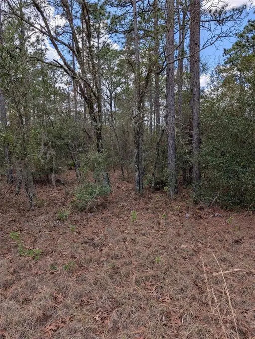 Sw 90th Street, DUNNELLON