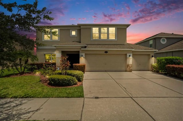 10737 Breaking Rocks Drive, TAMPA