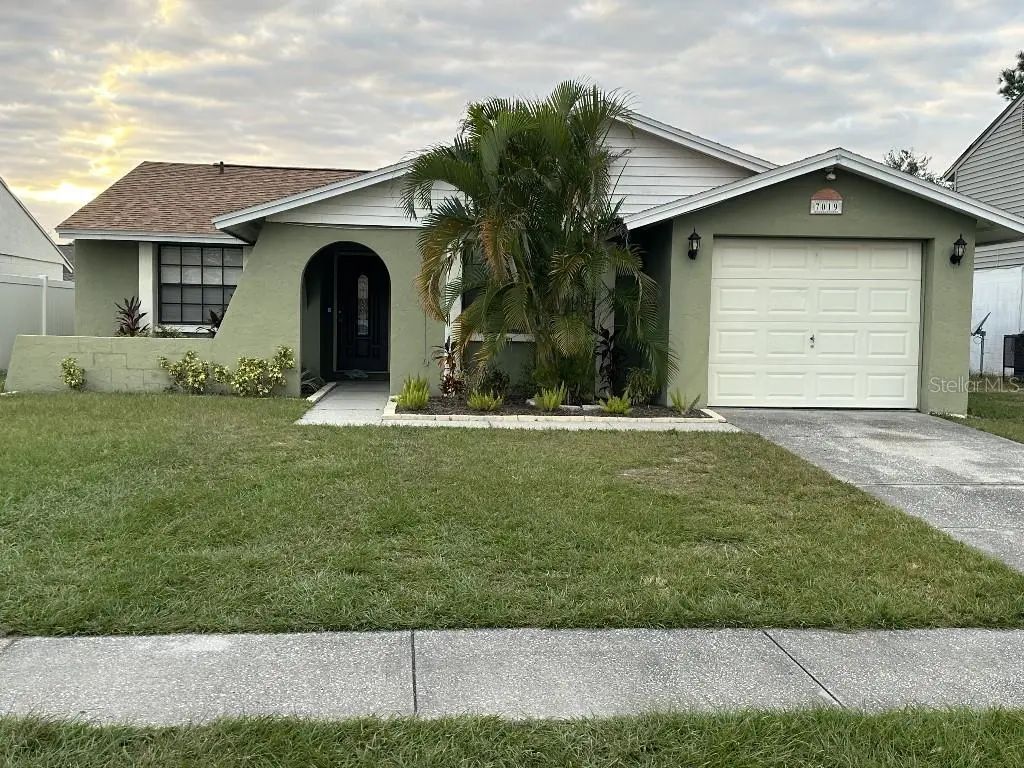 7019 Monterron Lane, TAMPA