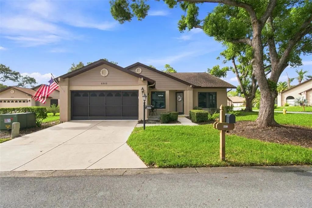 6802 Plumleaf Court, SPRING HILL