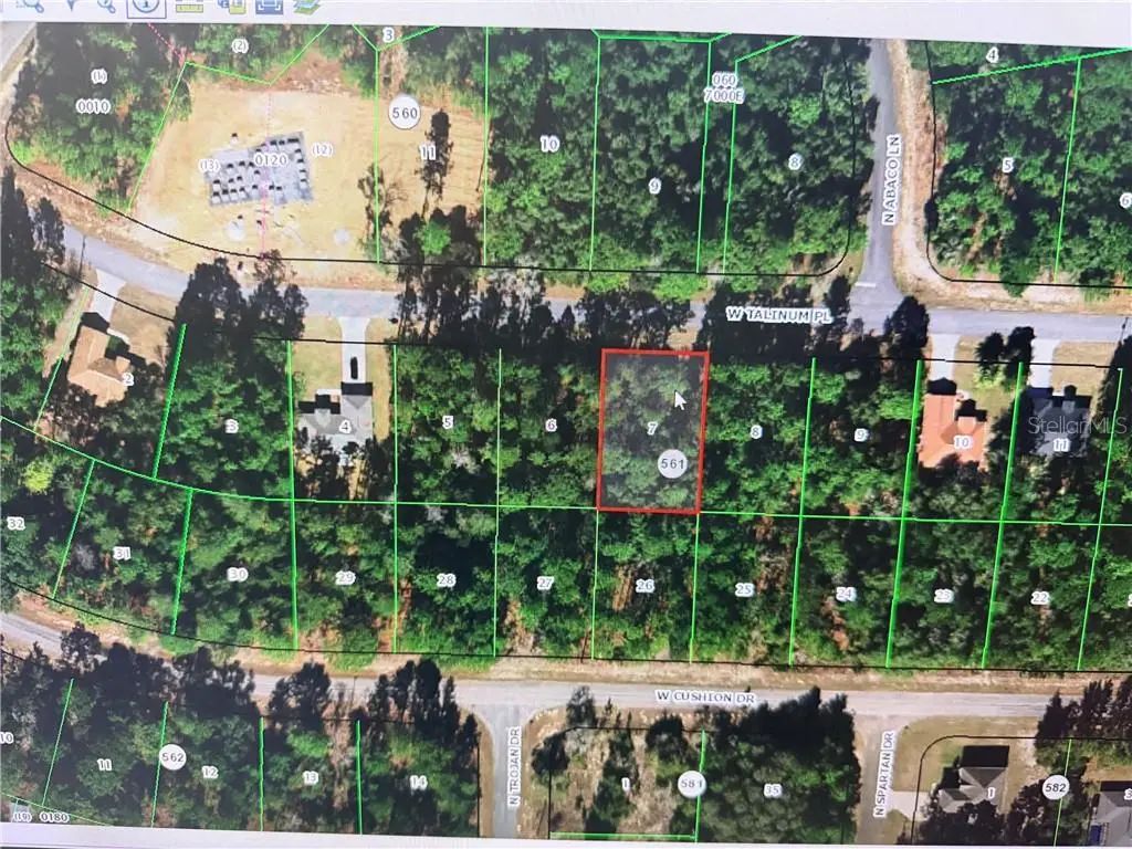 3328 W Talinum Place, Citrus Springs