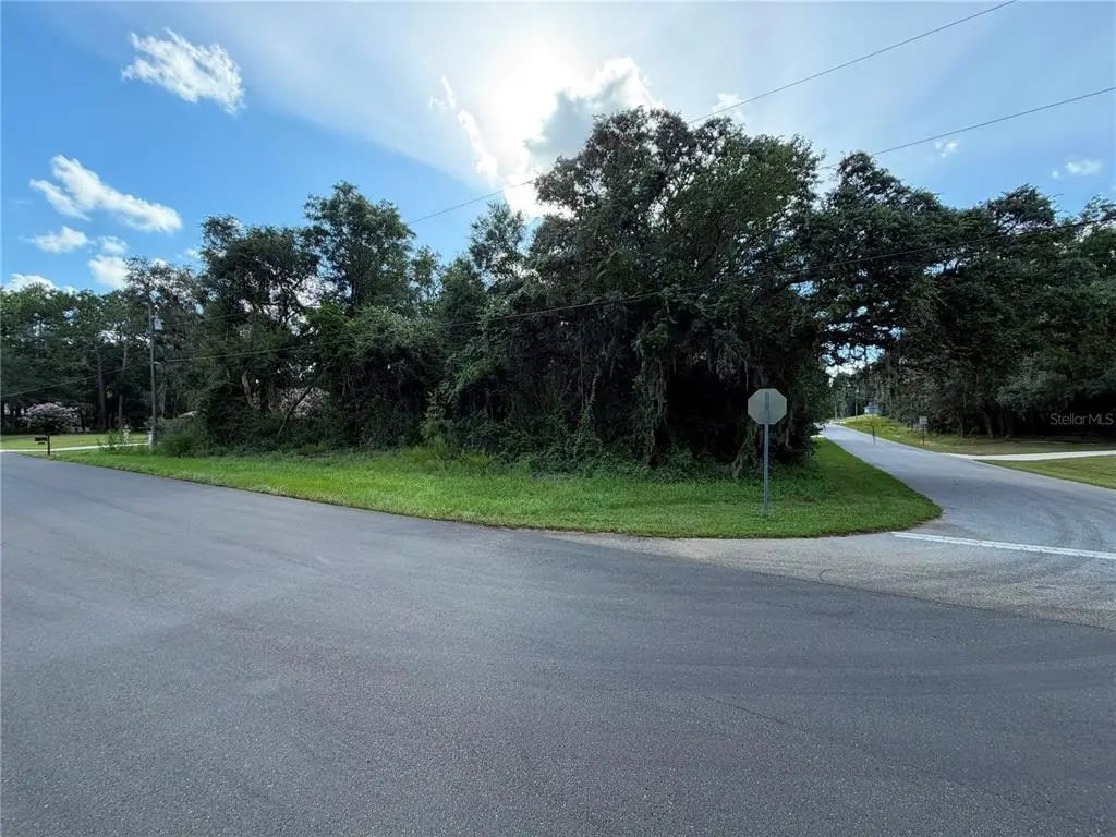 N/A, CITRUS SPRINGS