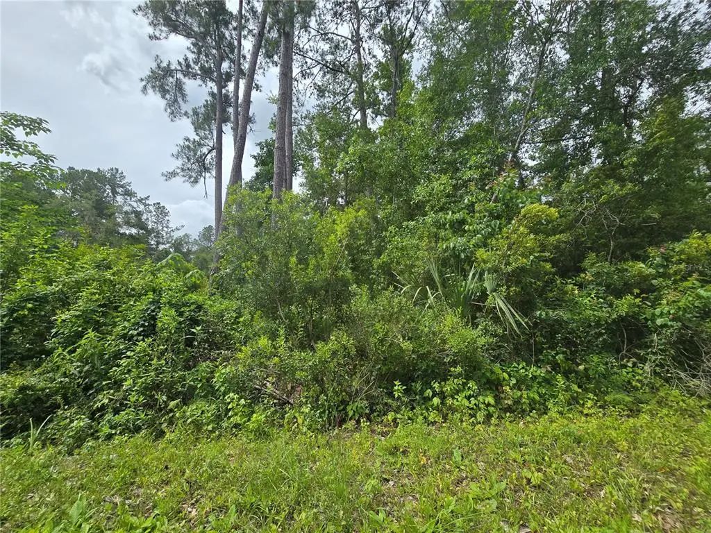 320 Sequoia Drive, OCKLAWAHA