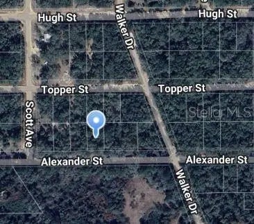 Alexander Street, INTERLACHEN