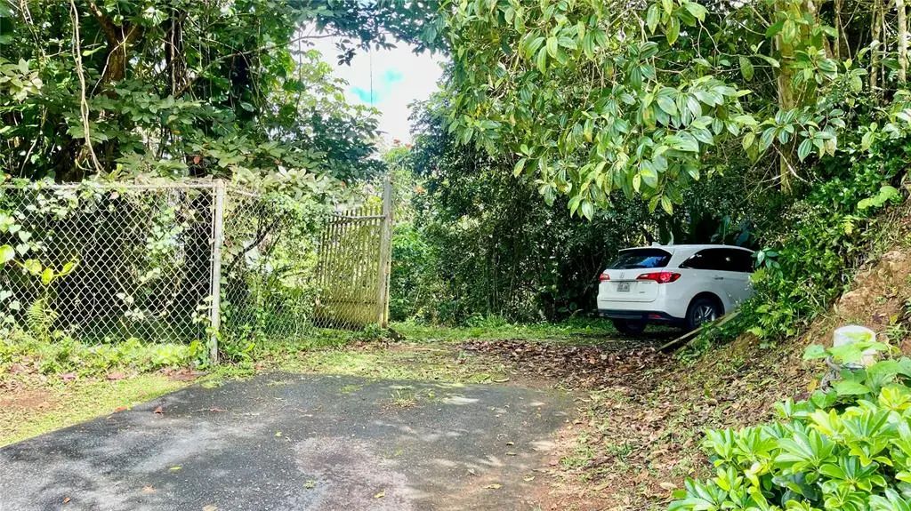 718 Bo. Pasto Road, AIBONITO