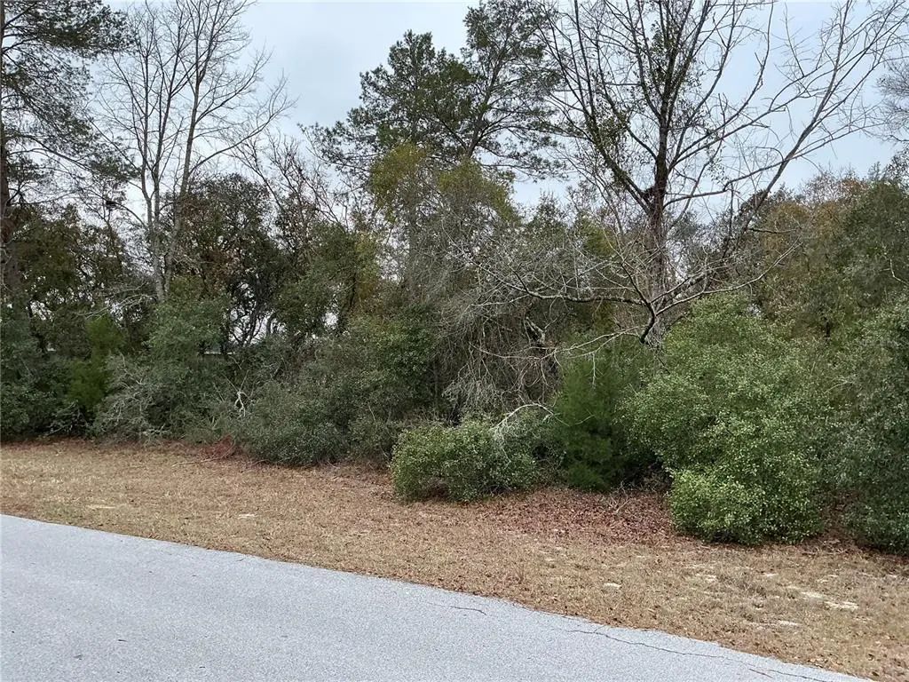Sw 137th Loop, OCALA