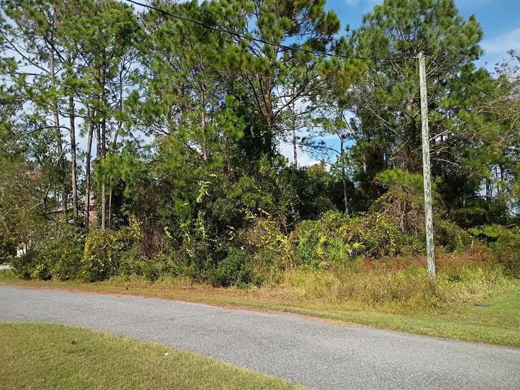 36 Buffalo Meadow Ln, PALM COAST