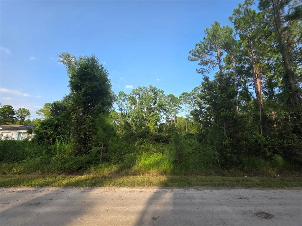 1233 East Parkway, DELAND