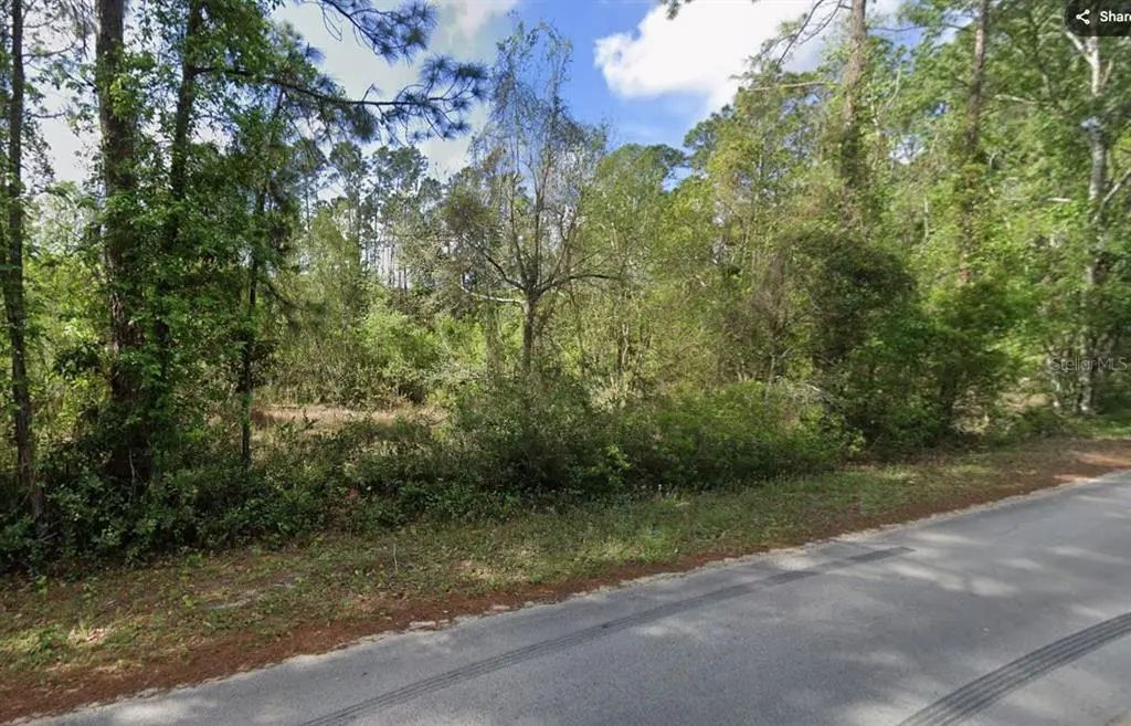 505 Hickory Nut Trail, SATSUMA