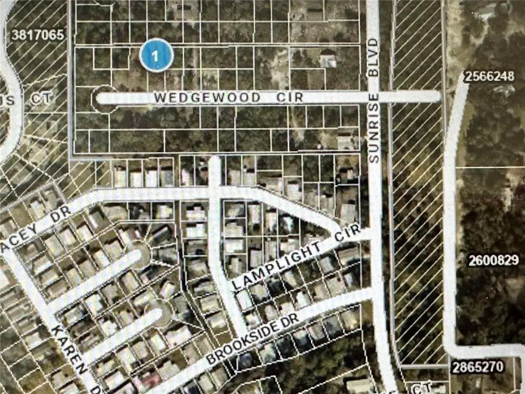 Lot 261 Brookside Cir, MOUNT DORA