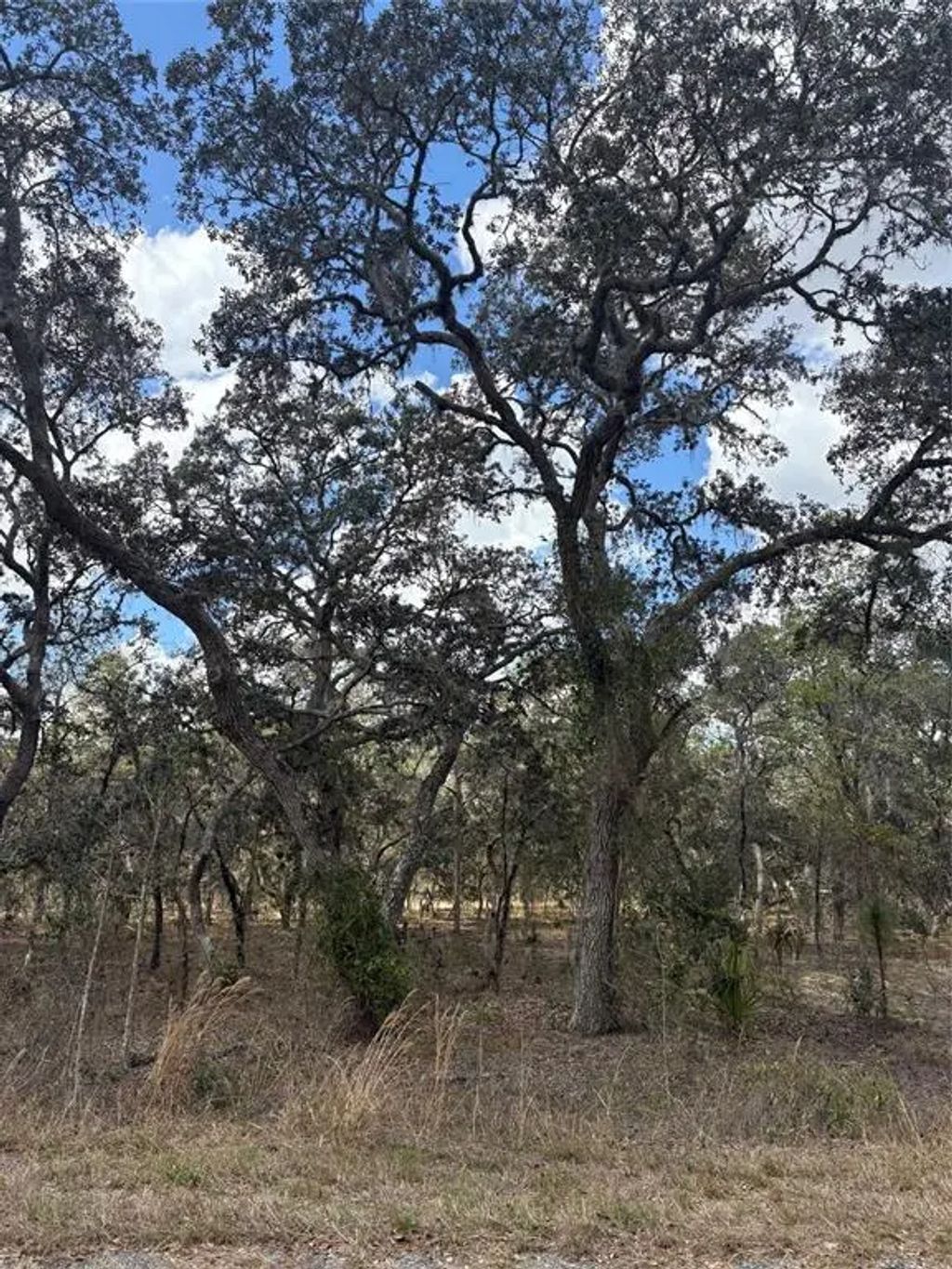 Tba Se 131st Terrace, DUNNELLON