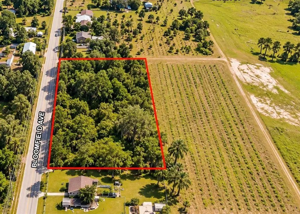 26714 Bloomfield Avenue, YALAHA