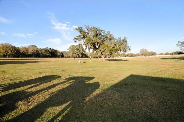 Arabian Way, DADE CITY