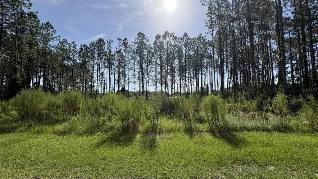 Tbd Nw 130th Avenue, HIGH SPRINGS