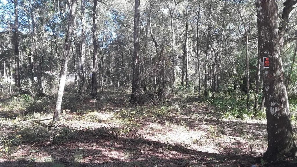 Sw 202 Avenue, DUNNELLON