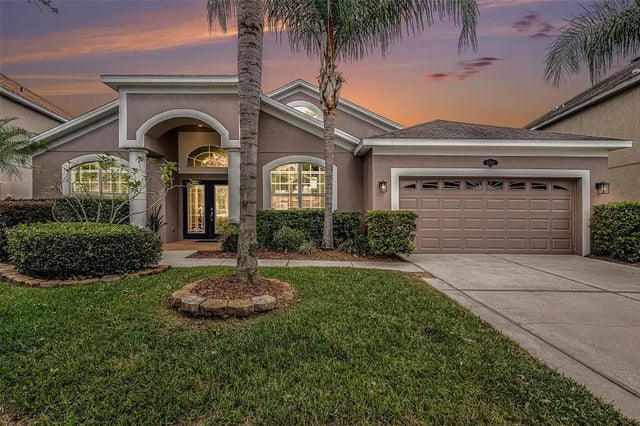 20017 Painting Nature Lane, TAMPA