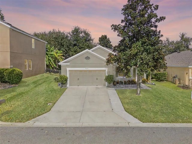30242 Tokara, MOUNT DORA
