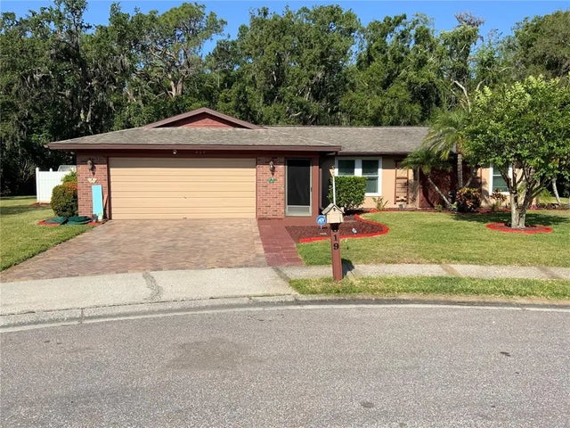 819 Satinleaf Avenue, OLDSMAR