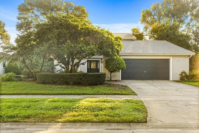13817 Cypress Village Circle, TAMPA