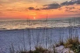 Gulf Shores Realty: 36 4b47a3075874669c6d129ebb2df35e62 l