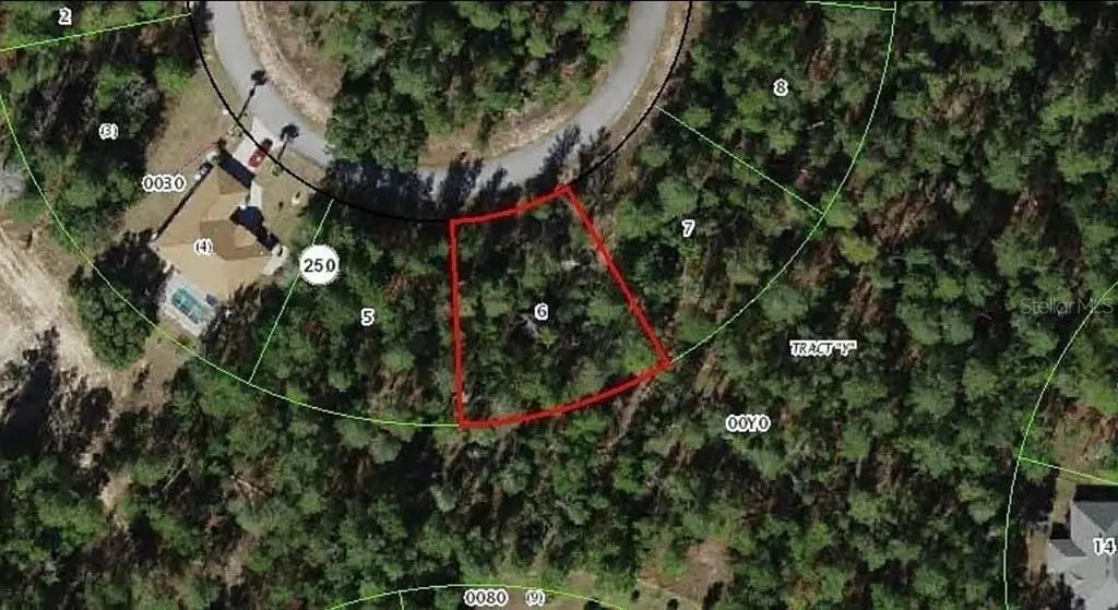 11 Scabiosa Court, HOMOSASSA