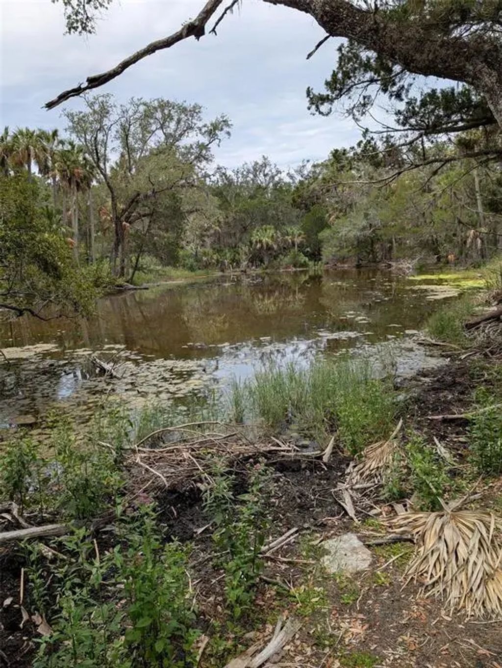 Se Bee Tree Rd, GULF HAMMOCK