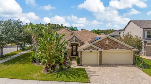 19361 Yellow Clover Drive, TAMPA