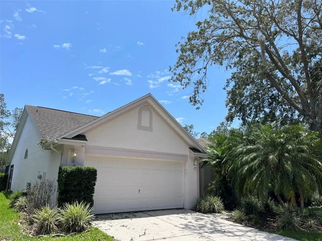 9411 Willow Cove Court, TAMPA