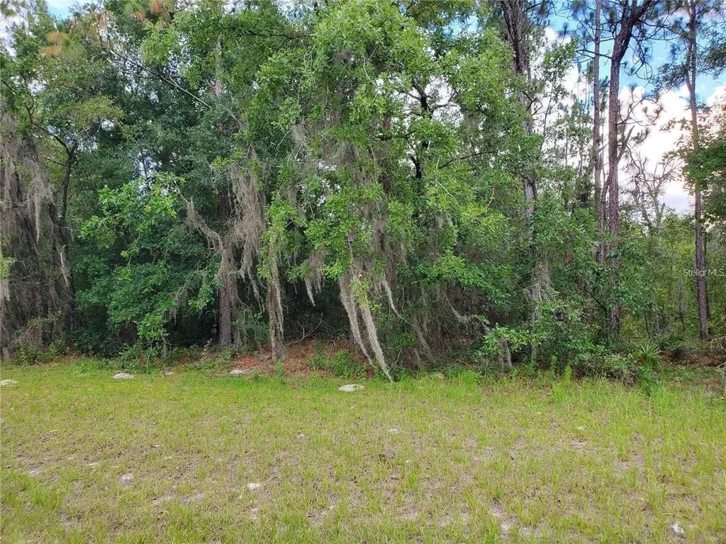 8650 Sw 138 Lane, OCALA