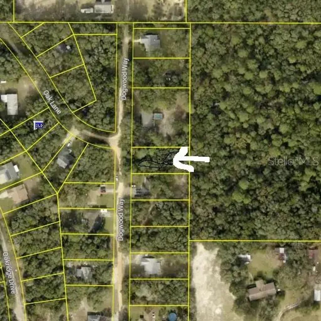 Dogwood Way, LADY LAKE