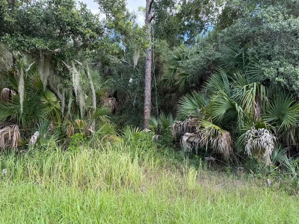 15020 Elwood Avenue, PORT CHARLOTTE