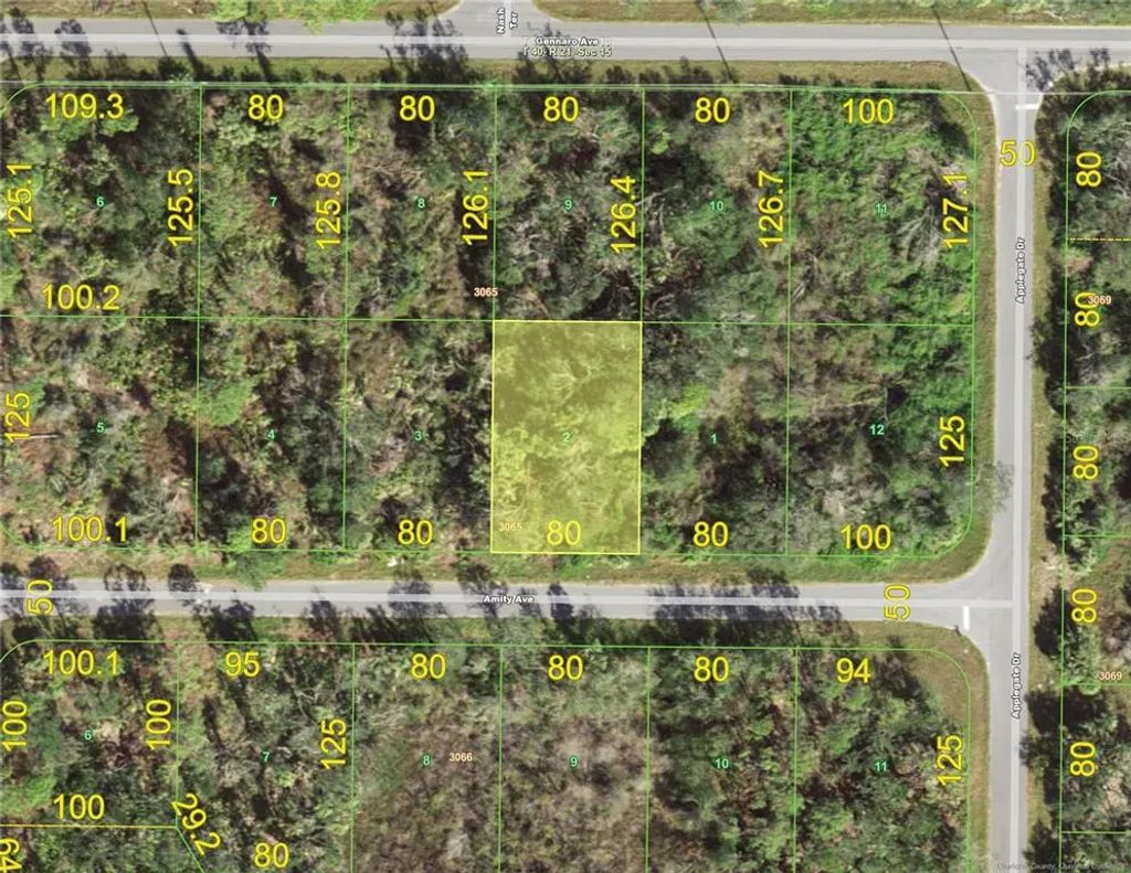 15096 Amity Avenue, PORT CHARLOTTE