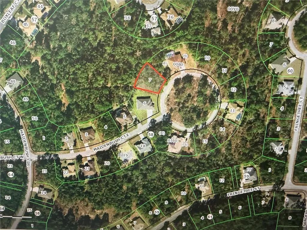14 Maidenbush Court E, Homosassa