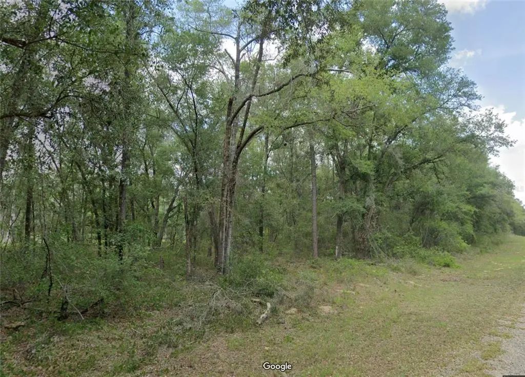 719 E Byrd Loop, DUNNELLON